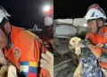 Rescatan a perrita despu�s de varios d�as atrapada bajo los escombros por sismos en Venezuela