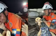 Rescatan a perrita despu�s de varios d�as atrapada bajo los escombros por sismos en Venezuela