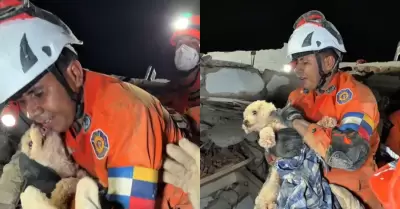 Rescatan a perrita despu�s de estar 5 d�as atrapada bajo los escombros
