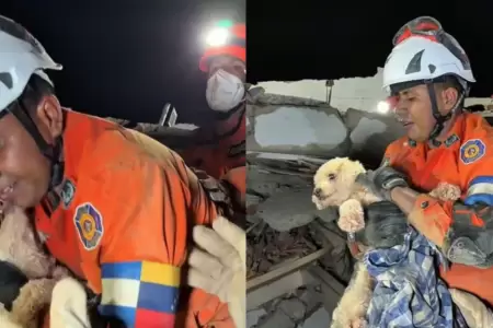 Rescatan a perrita despu�s de estar 5 d�as atrapada bajo los escombros