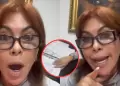 Magaly revela las actividades que realiza para cumplir su servicio comunitario: "Es lo que me han designado"