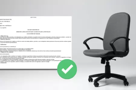 Gobierno aprueba la 'Ley Silla' para trabajadores que garantiza el derecho a des