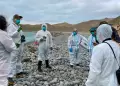 MIDAGRI activa plan de EMERGENCIA para proteger la fauna marina ante el AVANCE de El Ni�o Costero
