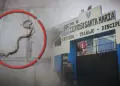 San Juan de Lurigancho: Presencia de culebras colegio nacional "Santa Mar�a" desata alarma entre padres de familia