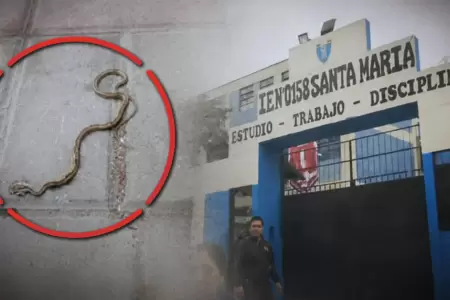 Padres denuncian presencia de culebras en colegio de SJL