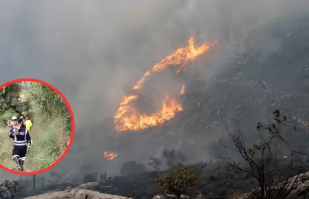 Incendio forestal en la provincia de La Convenci�n.
