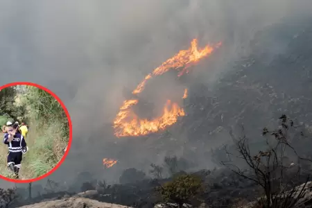 Incendio forestal en la provincia de La Convenci�n.