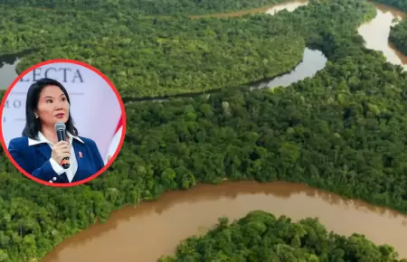 Petitorios mineros amenazar�an la salud de las comunidades.
