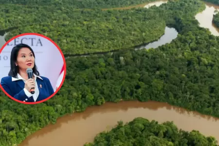 Petitorios mineros amenazar�an la salud de las comunidades.