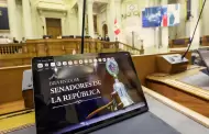 Nuevo Congreso bicameral: ¿Cuáles son las funciones tendrán los integrantes del Senado?