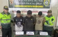 Pachacamac: PNP desarticula banda criminal 'Los babys de Manchay' e incautan armas y drogas