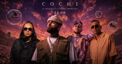 Cochinola traer� a grandes artistas.
