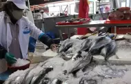 Alerta en los mercados: El Niño Costero encarece el pescado y agrava la escasez de productos marinos