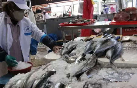 El Ni�o Costero encarece el pescado y agrava la escasez