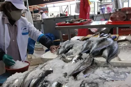 El Ni�o Costero encarece el pescado y agrava la escasez