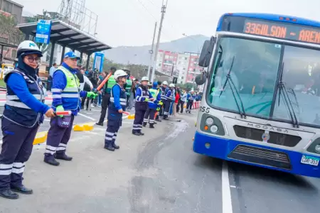 R�mac estrena paraderos renovados con mayor accesibilidad.