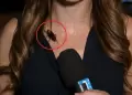 Periodista se hace viral tras ins�lita reacci�n cuando una cucaracha le camina por el pecho en vivo