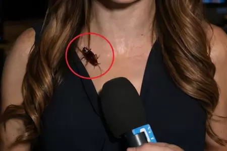 El insecto no pas� desapercibido.