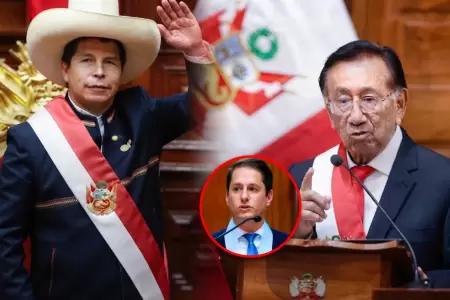 El letrado cuestion� decisi�n del mandatario.