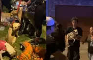 Los Olivos: Rescatan a más de 30 perros desnutridos que vivían hacinados y en condiciones deplorables