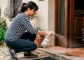 Rociar vinagre en la entrada de una casa: �Para qu� sirve y por qu� los expertos recomiendan hacerlo?