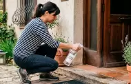 Rociar vinagre en la entrada de una casa: ¿Para qué sirve y por qué los expertos recomiendan hacerlo?