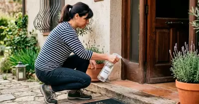 Rociar vinagre en la entrada de la casa.