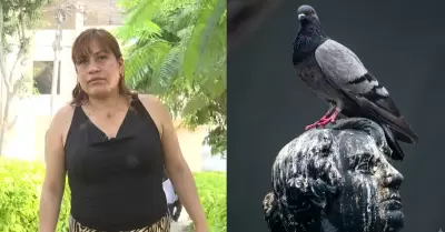 Mujer perdi� un dedo tras contraer hongo por limpiar heces de paloma en VMT