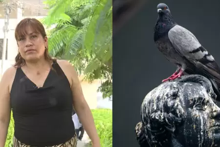 Mujer perdi� un dedo tras contraer hongo por limpiar heces de paloma en VMT