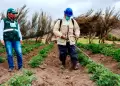 Piura: Paita es declarada zona para desarrollar un complejo petroqu�mico basado en gas natural