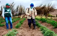 Piura: Paita es declarada zona para desarrollar un complejo petroquímico basado en gas natural