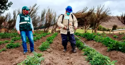 Piura apuesta por producci�n de fertilizantes con gas natural.