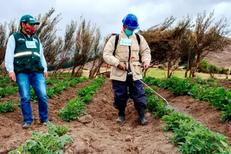 Piura apuesta por producci�n de fertilizantes con gas natural.