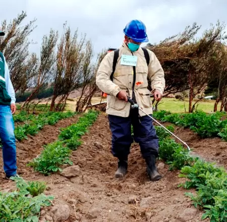Piura apuesta por producci�n de fertilizantes con gas natural.