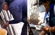 Lambayeque: se superan los 2 mil casos de dengue, alertan autoridades