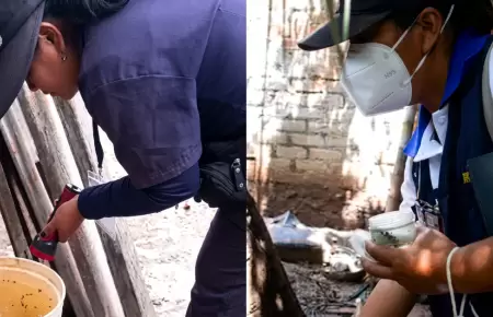 Lambayaque: Se incrementan casos de dengue en distritos del interior de la regi�