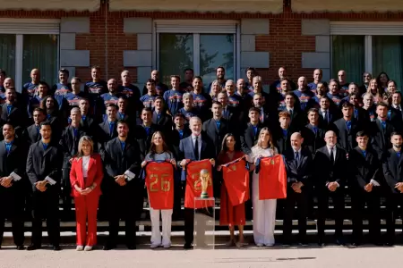 La Selecci�n espa�ola fue recibida por el rey Felipe VI.