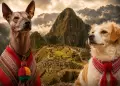 D�a Mundial del Perro: Conoce las razas peruanas y c�mo proteger mejor a tu fiel compa�ero
