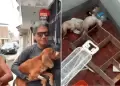 Trujillo: Rescatan a perritos que estaban desnutridos y abandonados en la urbanizaci�n Santa Mar�a