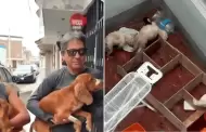 Trujillo: Rescatan a perritos que estaban desnutridos y abandonados en la urbanización Santa María