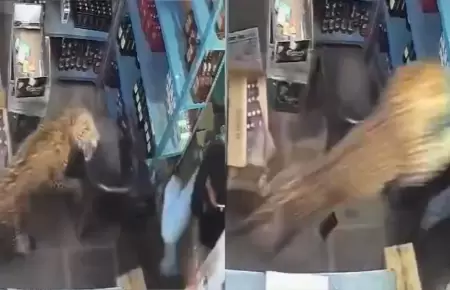 Empleado logr� escapar de la escena.