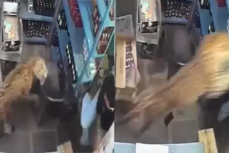 Empleado logr� escapar de la escena.