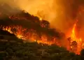 Espa�a enfrenta uno de los peores incendios forestales de su historia: Miles de hect�reas calcinadas y evacuados