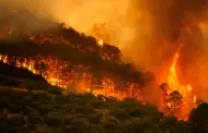 Espa�a enfrenta uno de los peores incendios forestales de su historia: Miles de hect�reas calcinadas y evacuados