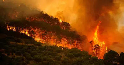 Incendios forestales en Espa�a