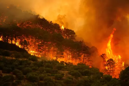 Incendios forestales en Espa�a