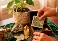 �D�nde colocar un billete de d�lar para atraer la abundancia a tu vida? Esto revela el Feng Shui