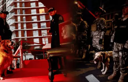 Perritos de la Brigada Canina de la PNP en la previa del Desfile C�vico Militar