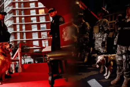 Perritos de la Brigada Canina de la PNP en la previa del Desfile C�vico Militar