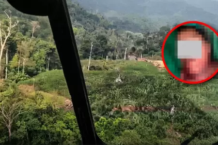 El operativo se dio en la zona VRAEM del Cusco.